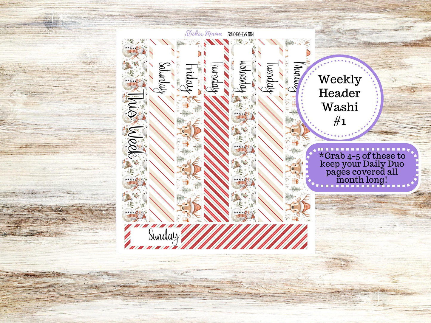 ERIN CONDREN Daily Duo Planner Kit DD-3210 || December - Frosty Friends || Daily Duo Planner Sticker Kit || Erin Condren ||