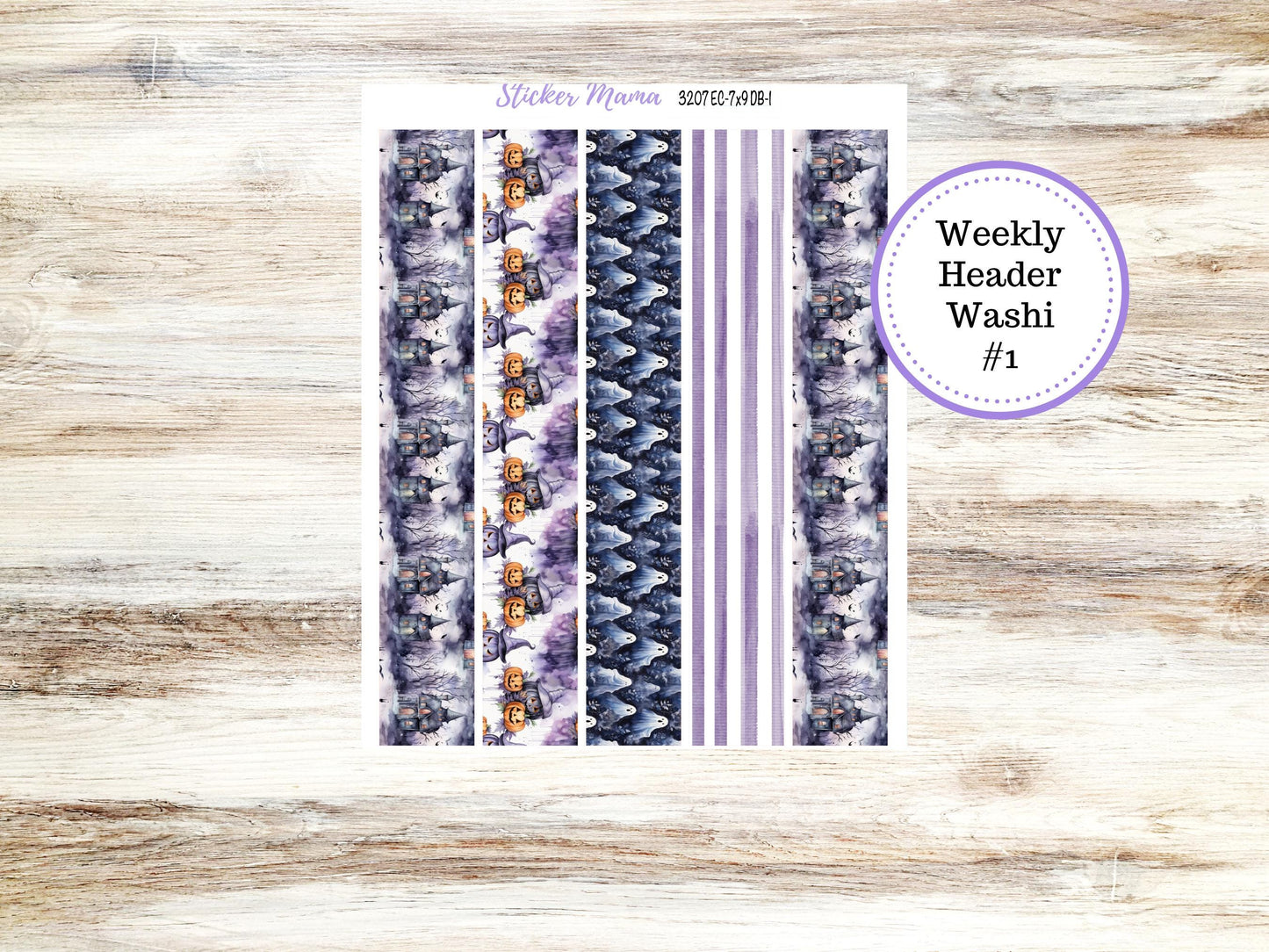 ERIN CONDREN Dashboard Planner Kit DB-3207 || Haunted Haven || Dashboard Planner Sticker Kit || Erin Condren ||