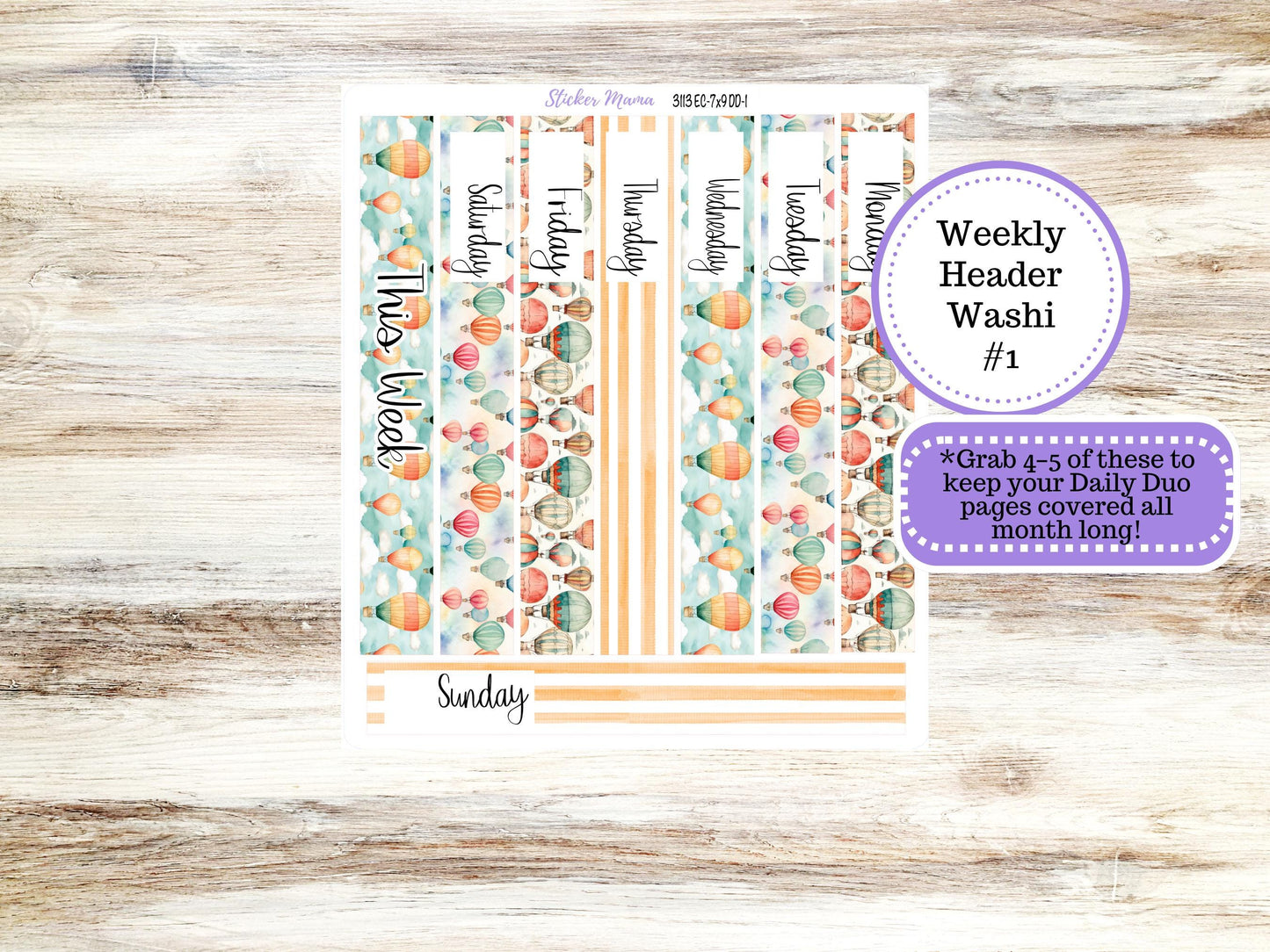 ERIN CONDREN Daily Duo Planner Kit DD-3113 || Sky High August || Daily Duo Planner Sticker Kit || Erin Condren ||