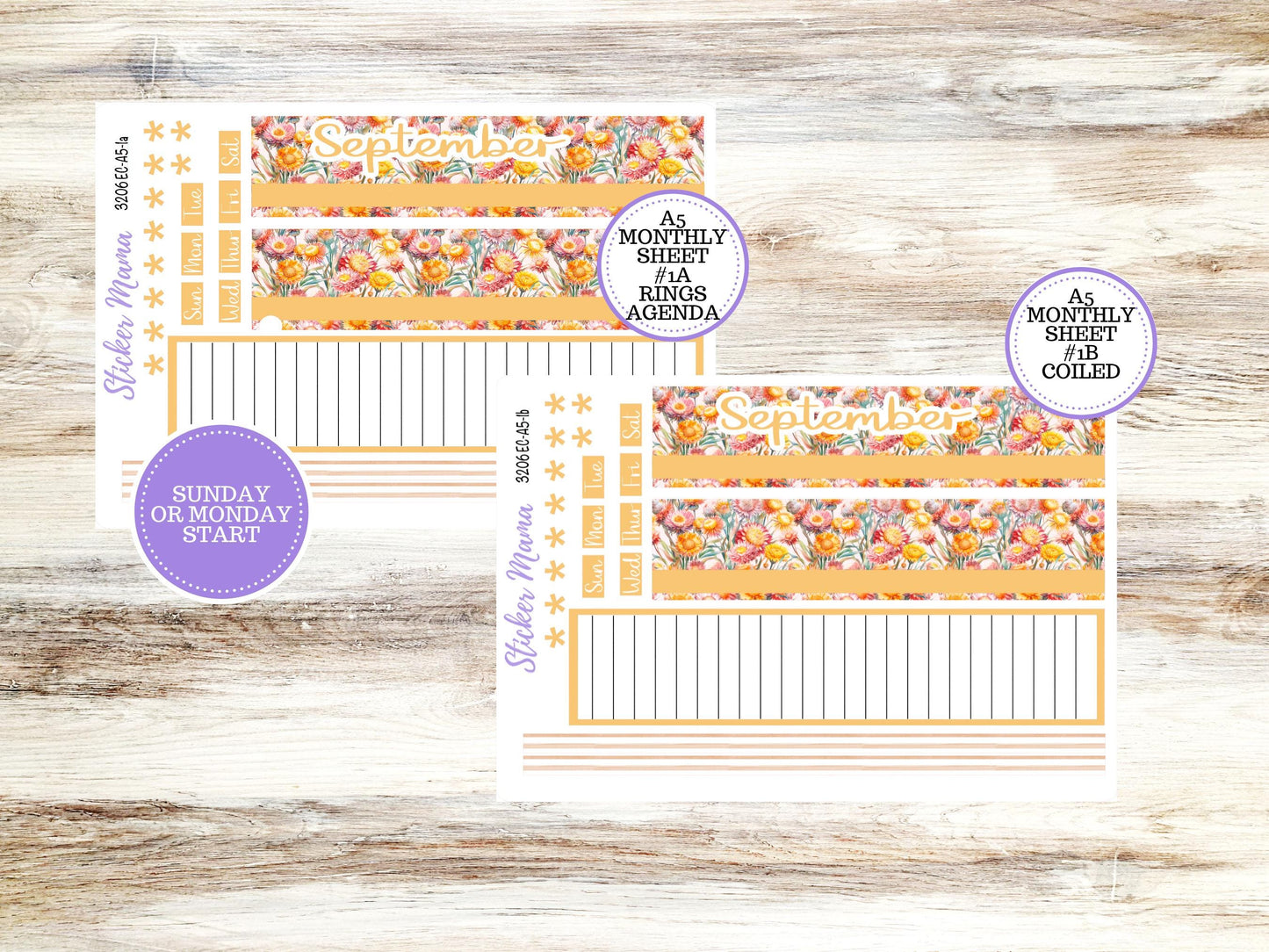 ERIN CONDRE Monthly Kit-3206 || A5 || Falling Colors Stickers || - ec September Monthly Kit - Monthly Planner Kits - Monthly Budget