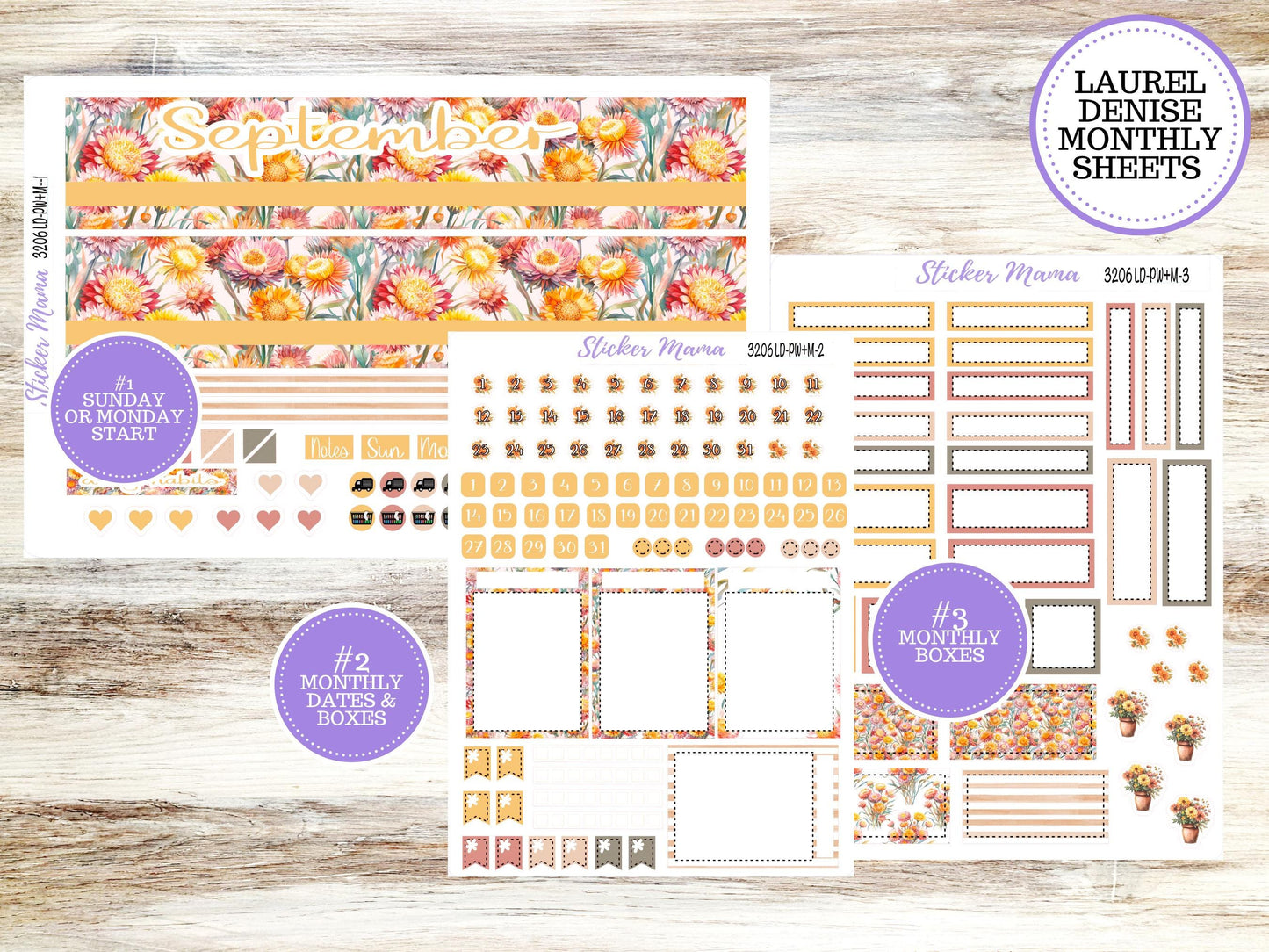 LAUREL DENISE PORTRAIT Week + Month Planner Kit|| Planner Kit #3206 || Falling Color || Laurel Denise September Sticker Kit || June 25