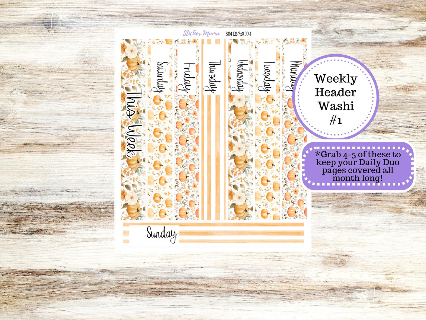 ERIN CONDREN Daily Duo Planner Kit DD 3114 || September || Daily Duo Planner Sticker Kit || Erin Condren ||