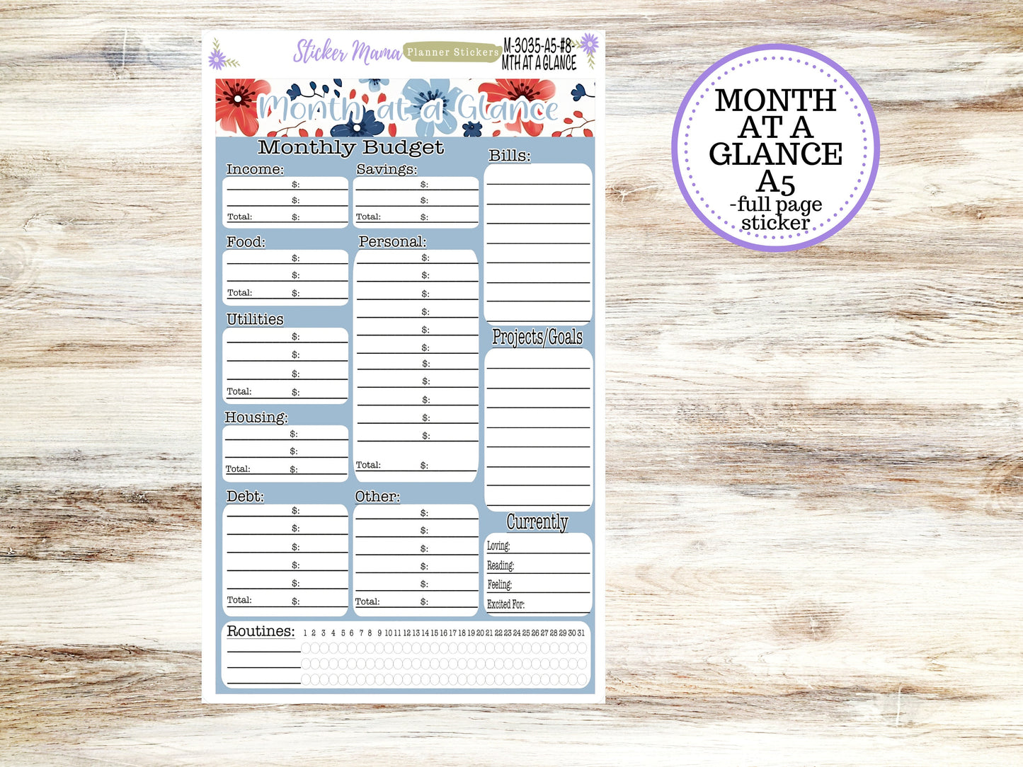 BUDGET - MONTH @ a GLANCE-3035 || A5 & 7x9 || Budget Sticker Kit || Notes Page Stickers || Planner Budget Kit