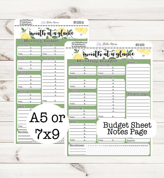 3033 BUDGET STICKER SHEET || Notes Page Stickers || Planner Budget Kit