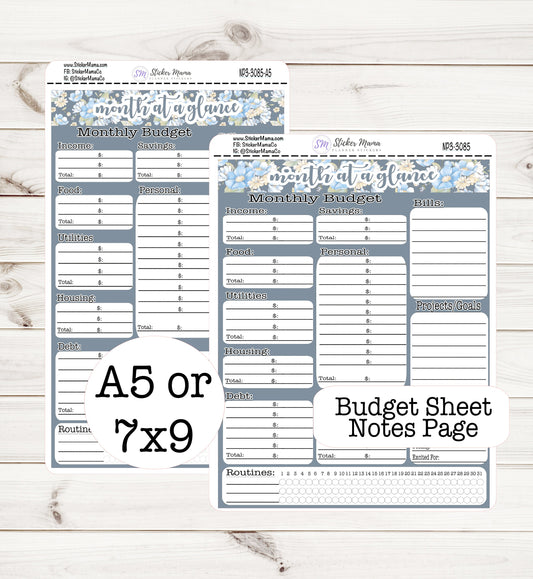 3085 BUDGET STICKER SHEET || Notes Page Stickers || Planner Budget Kit