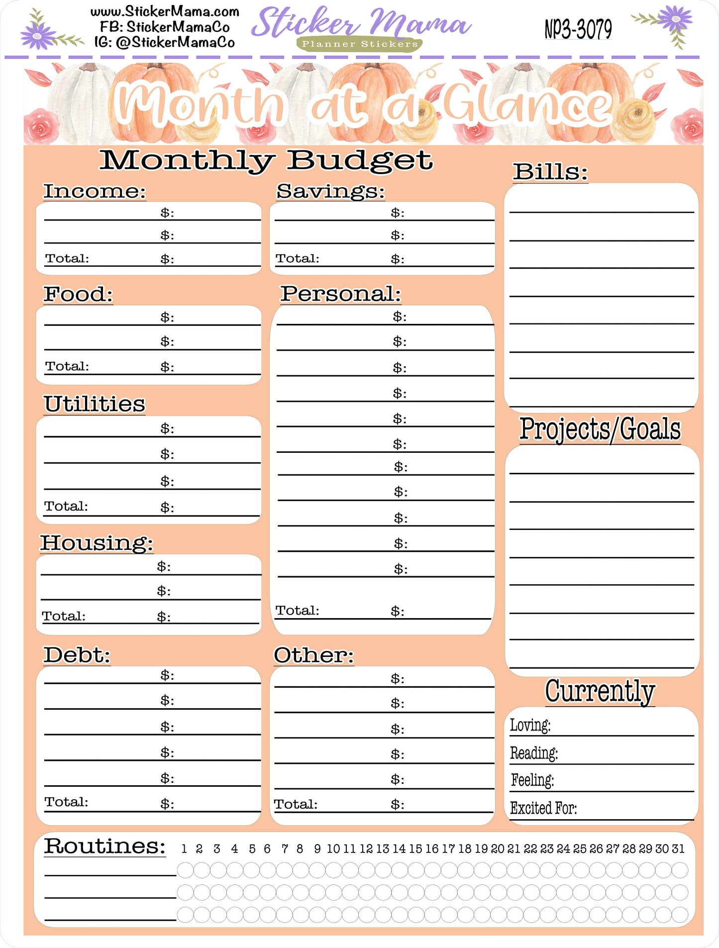 3079 BUDGET STICKER SHEET || Notes Page Stickers || Planner Budget Kit