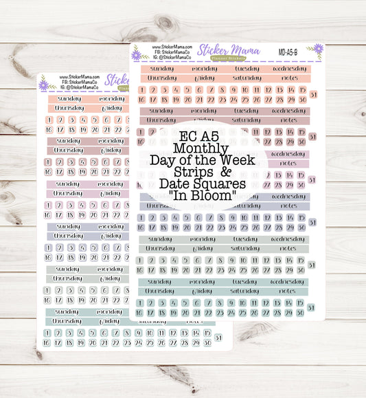 NEW ERIN CONDREN Colors Md-A5-B- A5 In Bloom- Monthly Kit - Planner Stickers