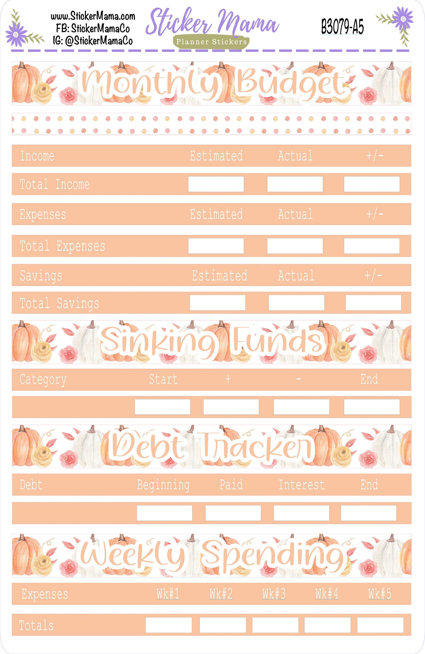 3079 BUDGET STICKER Kit || Pumpkin October Stickers|| Notes Page Stickers || Planner Budget Kit