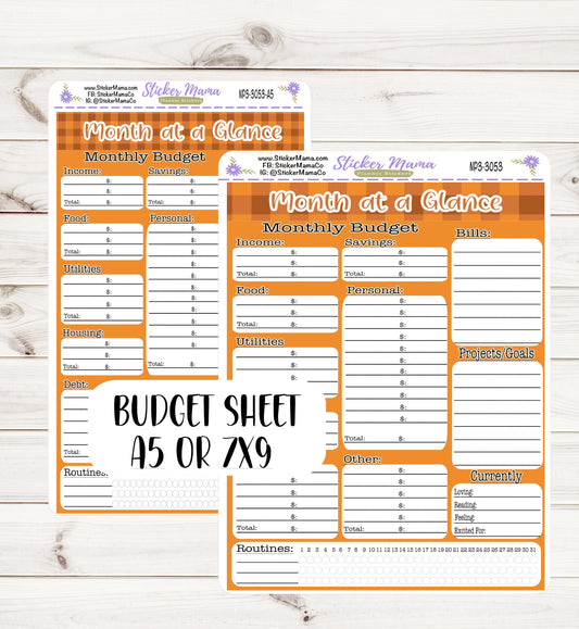 3053 BUDGET STICKER SHEET || Notes Page Stickers || Planner Budget Kit