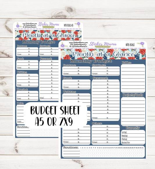 3062 BUDGET STICKER SHEET || Notes Page Stickers || Planner Budget Kit