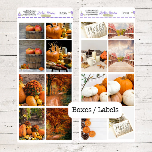 FB-3092 - FULL BOX Stickers - Fall Y'all - Planner Stickers - Full Box for Planners