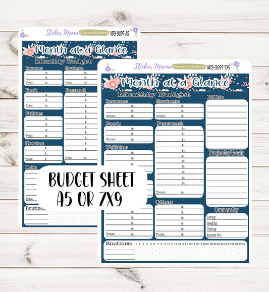 3097 - np3  FRESH HAPPINESS  || Budget Sticker Sheet  || Notes Page Stickers || Planner Budget Kit