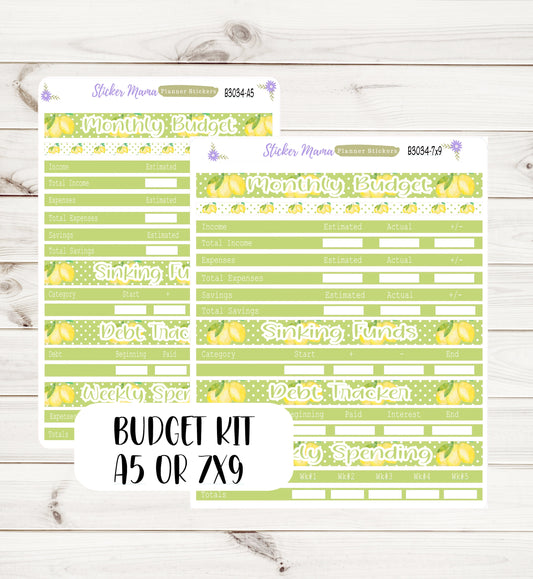 3034 - B -  Watercolor Lemons  || Budget Sticker Kit || Notes Page Stickers || Planner Budget Kit