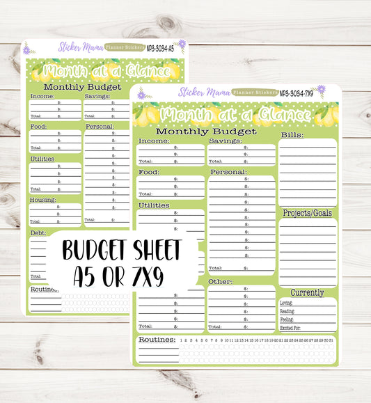 3034 - np3  Watercolor Lemons  || Budget Sticker Sheet  || Notes Page Stickers || Planner Budget Kit
