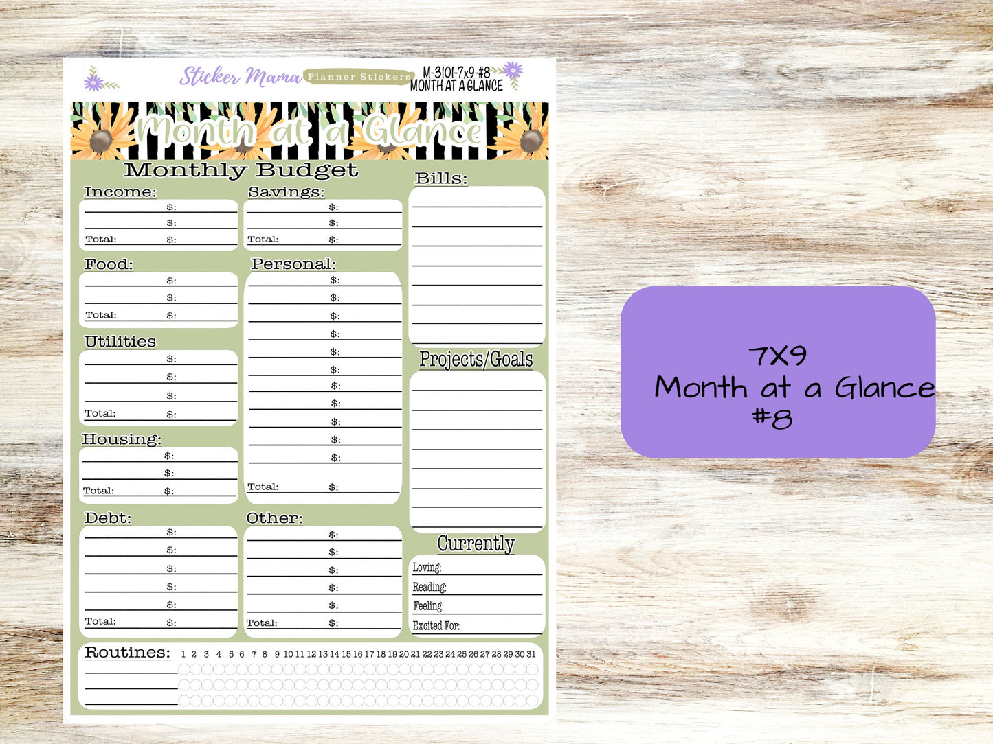 BUDGET - MONTH @ a GLANCE-3100 || A5 & 7x9 || Budget Sticker Kit || Notes Page Stickers || Planner Budget Kit