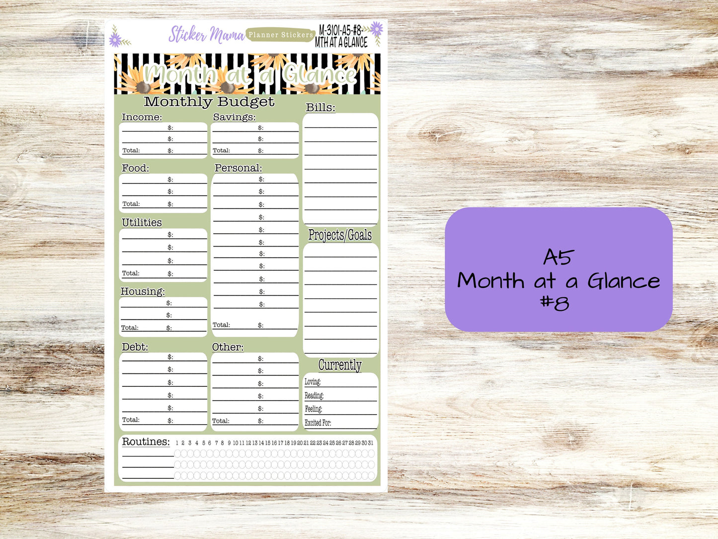 BUDGET - MONTH @ a GLANCE-3100 || A5 & 7x9 || Budget Sticker Kit || Notes Page Stickers || Planner Budget Kit