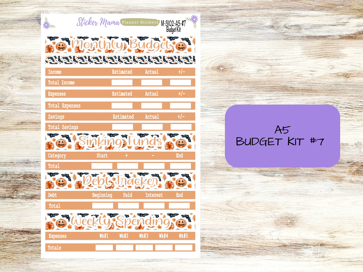 BUDGET - MONTH @ a GLANCE-3102 || A5 & 7x9 || Budget Sticker Kit || Notes Page Stickers || Planner Budget Kit