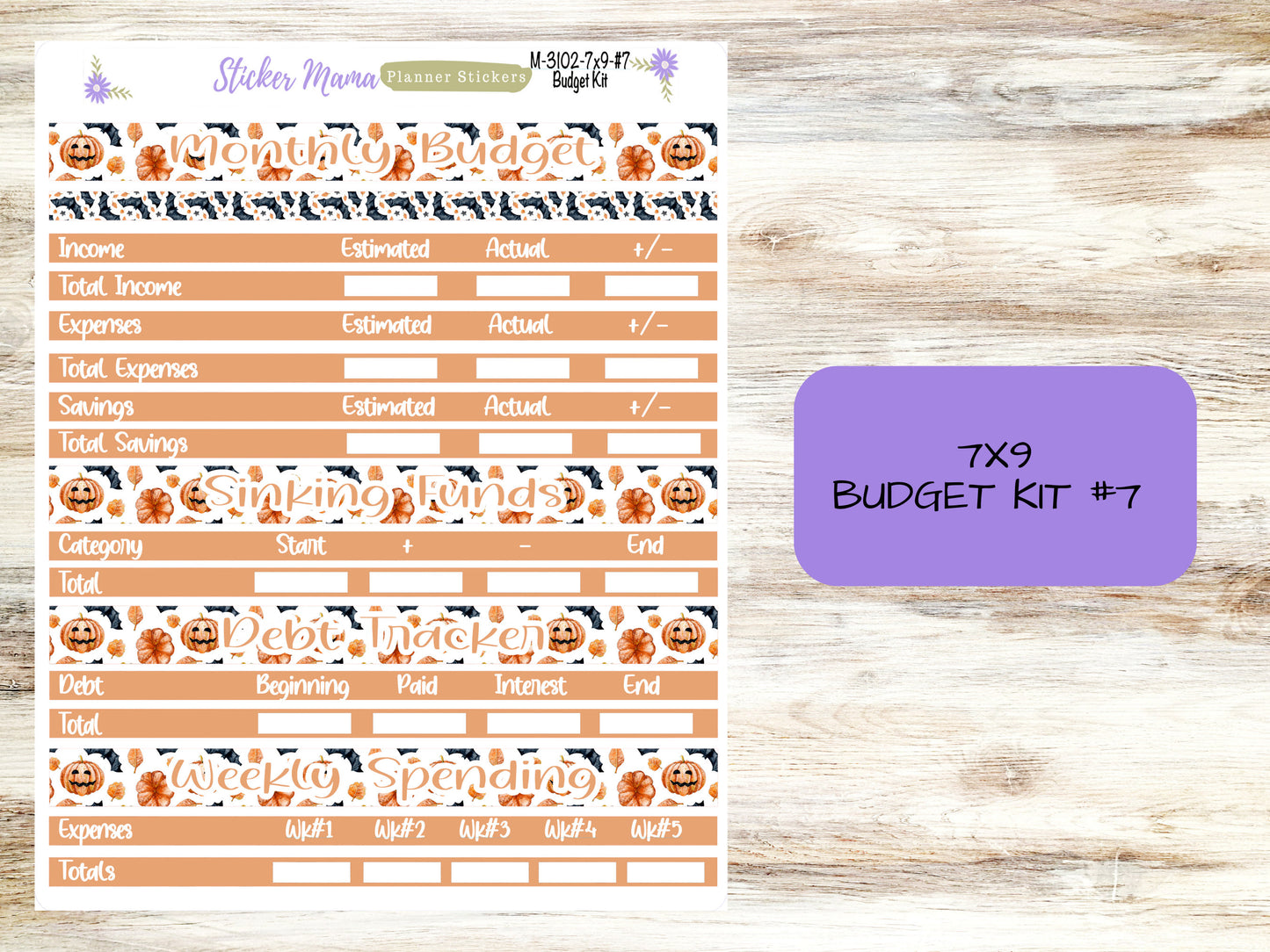 BUDGET - MONTH @ a GLANCE-3102 || A5 & 7x9 || Budget Sticker Kit || Notes Page Stickers || Planner Budget Kit