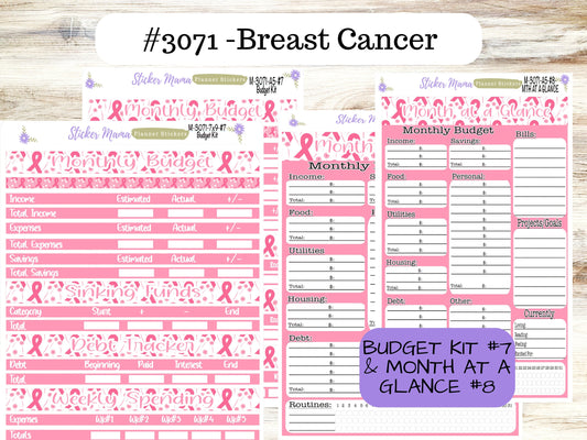 BUDGET - MONTH @ a GLANCE-3071 || A5 & 7x9 || Budget Sticker Kit || Notes Page Stickers || Planner Budget Kit