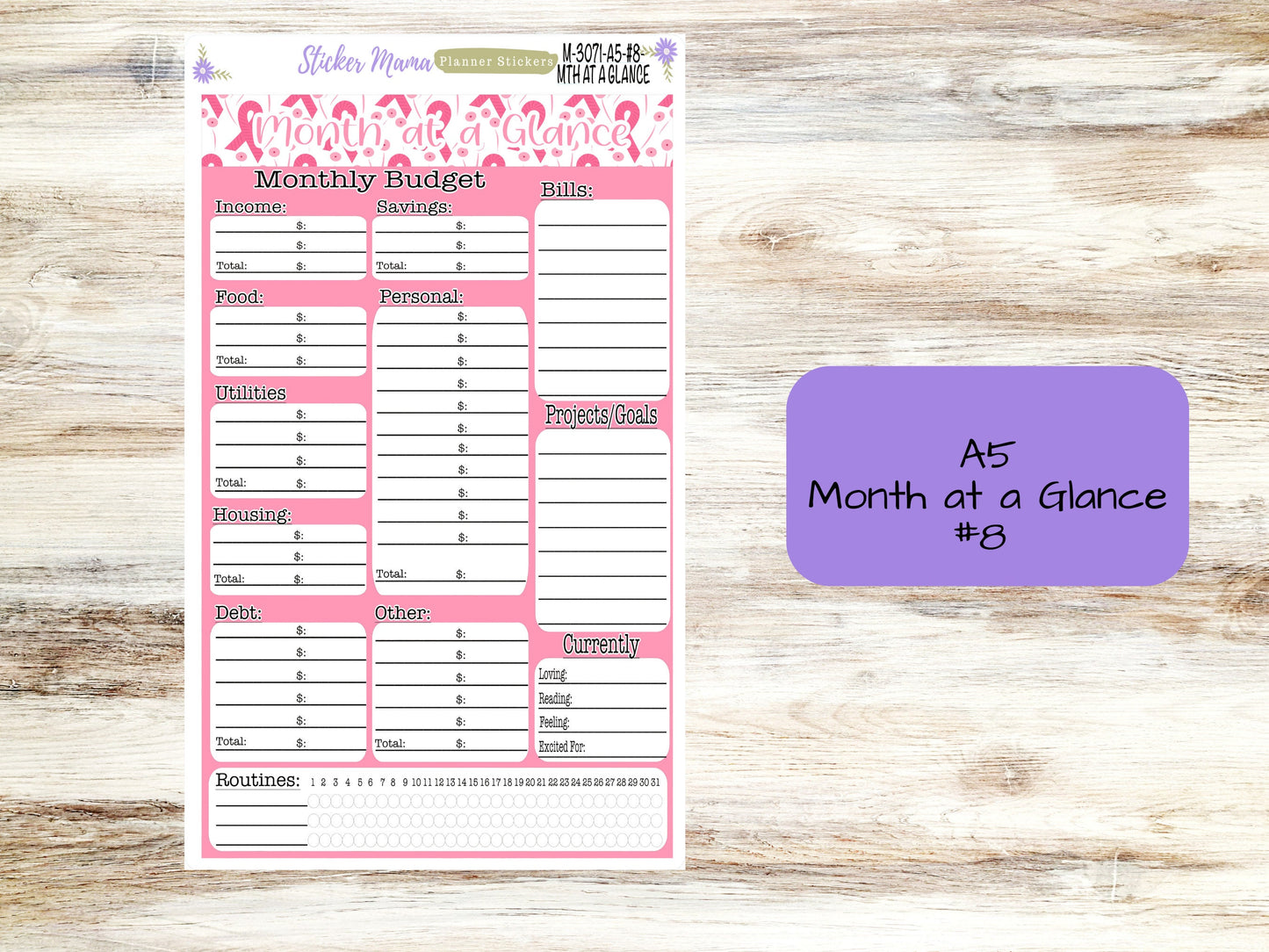 BUDGET - MONTH @ a GLANCE-3071 || A5 & 7x9 || Budget Sticker Kit || Notes Page Stickers || Planner Budget Kit