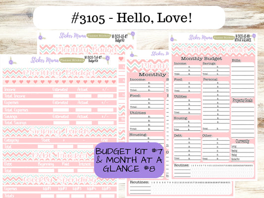 BUDGET - MONTH @ a GLANCE-3105 || A5 & 7x9 || Budget Sticker Kit || Notes Page Stickers || Planner Budget Kit
