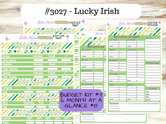 BUDGET - MONTH @ a GLANCE- 3027 || A5 & 7x9 || Budget Sticker Kit || Notes Page Stickers || Planner Budget Kit