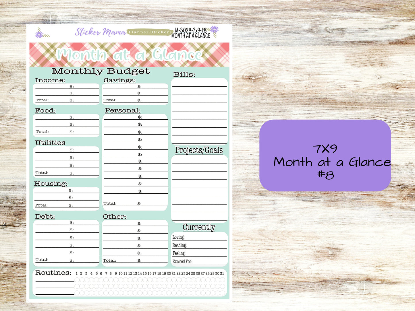 BUDGET - MONTH @ a GLANCE-3028 || A5 & 7x9 || Budget Sticker Kit || Notes Page Stickers || Planner Budget Kit