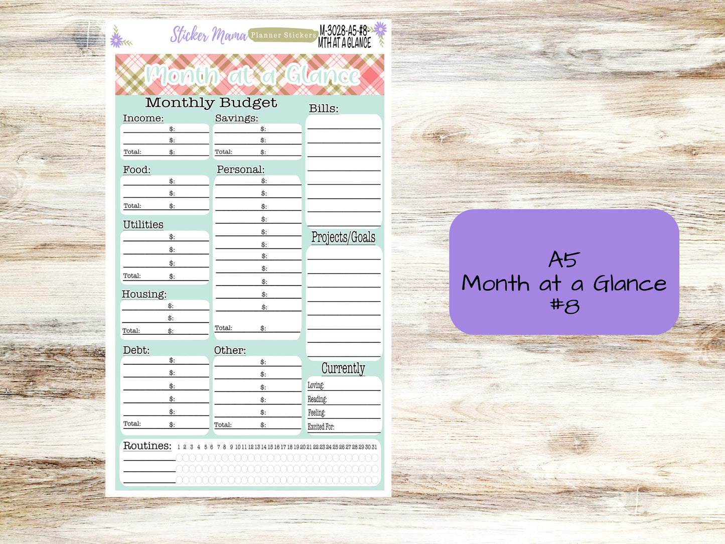 BUDGET - MONTH @ a GLANCE-3028 || A5 & 7x9 || Budget Sticker Kit || Notes Page Stickers || Planner Budget Kit