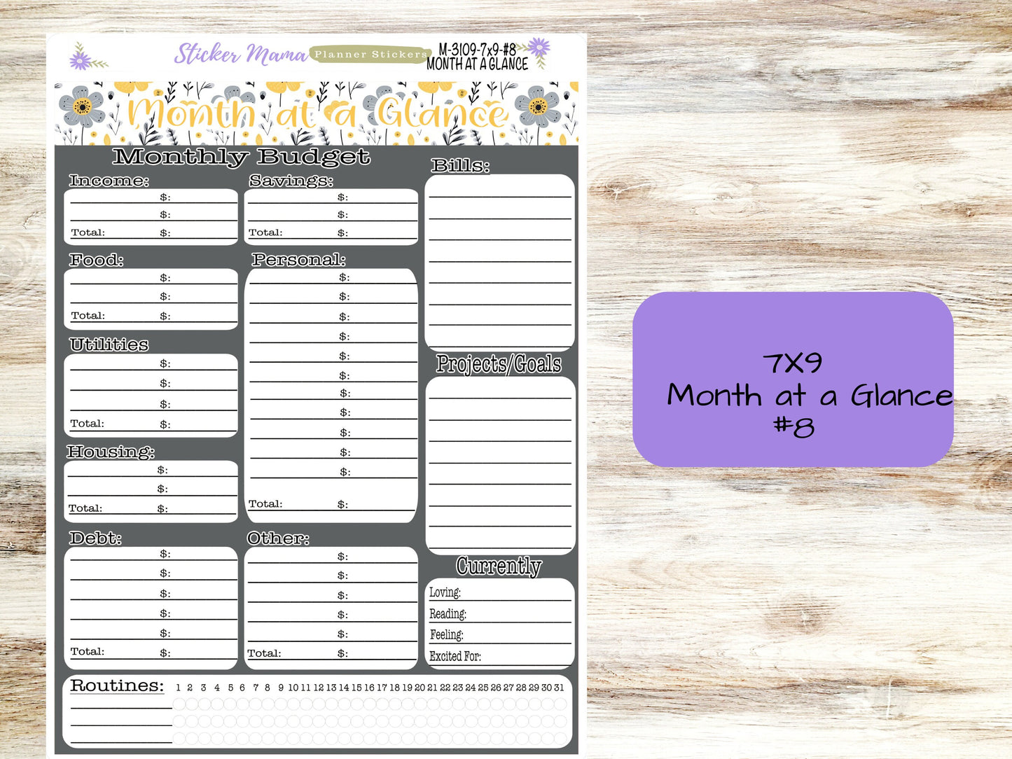BUDGET - MONTH @ a GLANCE-3109 || A5 & 7x9 || Budget Sticker Kit || Notes Page Stickers || Planner Budget Kit