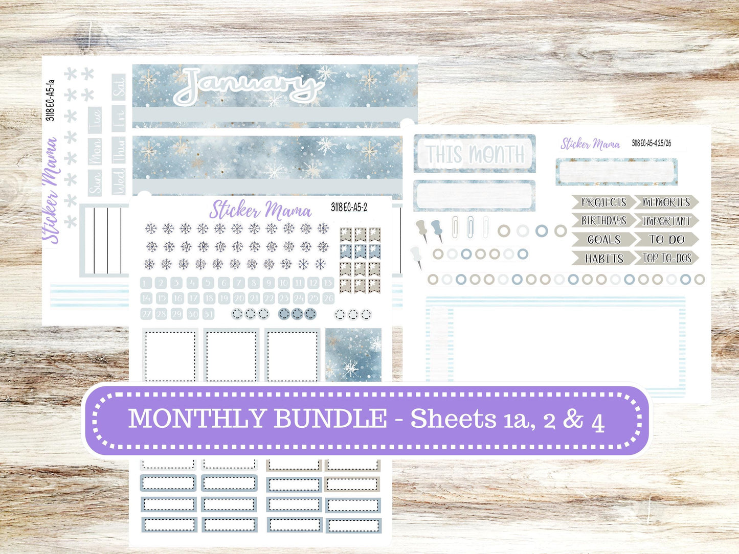 ERIN CONDRE Monthly Kit-3118 || A5 || EC A5 Stickers  || - ec January Monthly Kit - Monthly Planner Kits - Monthly Budget