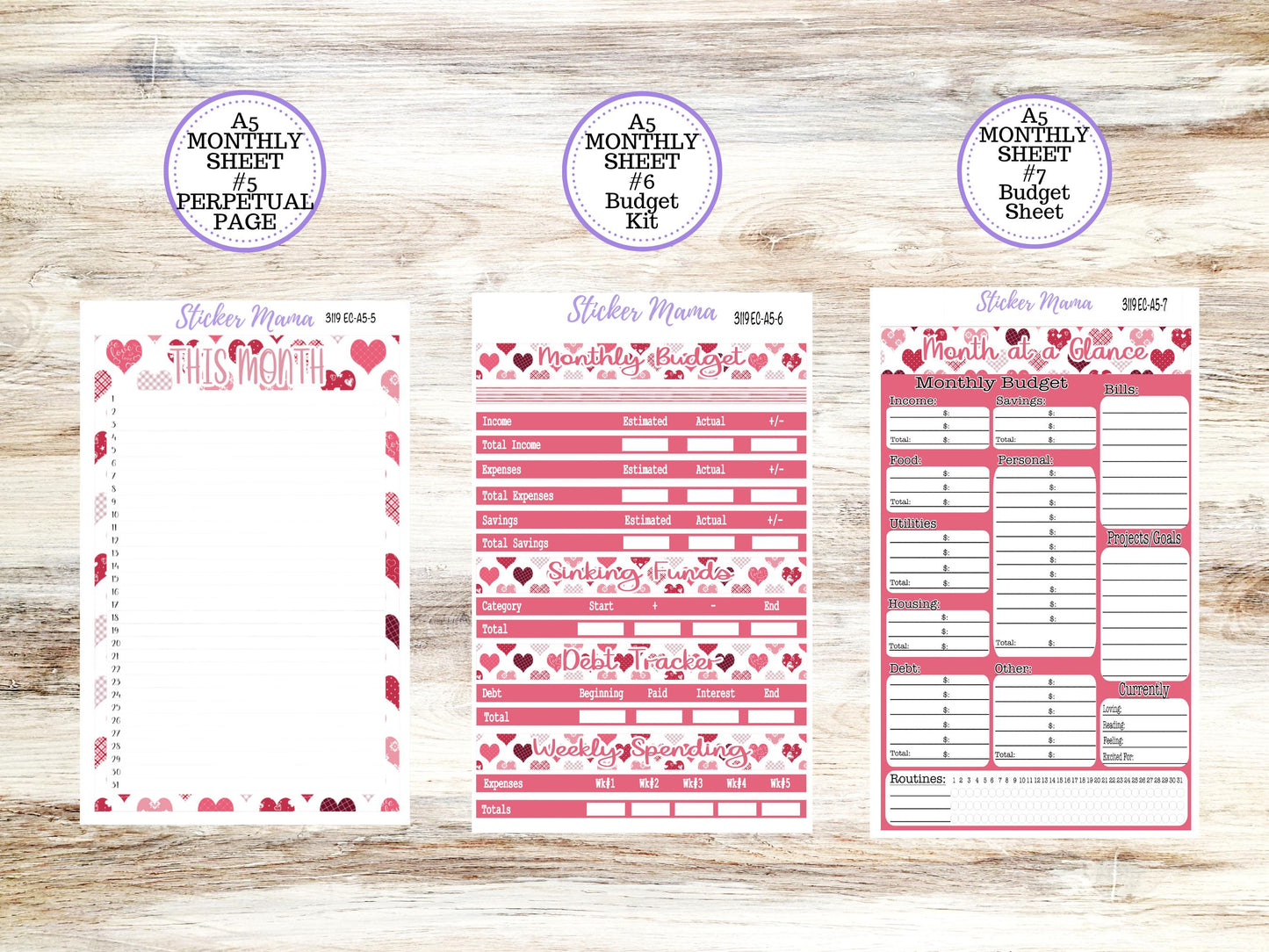 ERIN CONDRE Monthly Kit-3119 || A5 || EC A5 Stickers  || - ec FebruaryMonthly Kit - Monthly Planner Kits - Monthly Budget