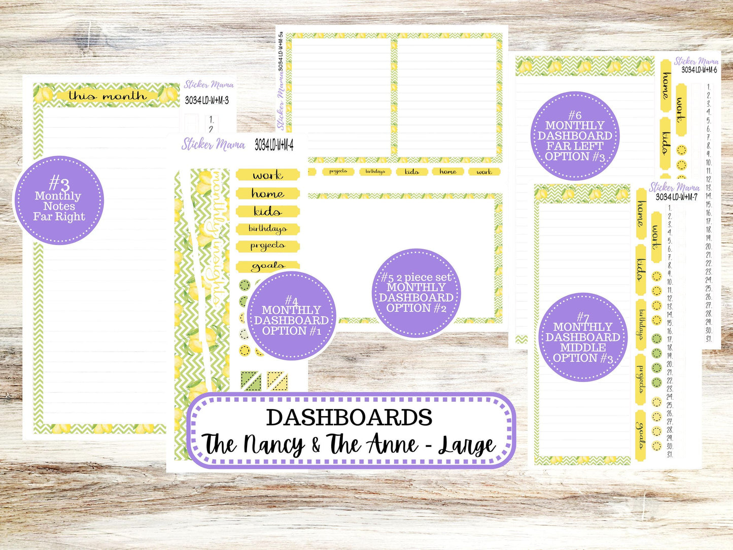 LD “The Nancy & Anne” Large || Week + Month PLANNER Monthly Kit #3034 || Horizontal Vertical Kit || Fresh Squeeze || 11-25