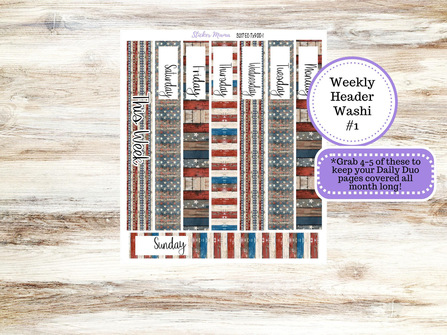 Erin Condren Daily Duo Planner Sticker Kit | 3217 Old Glory