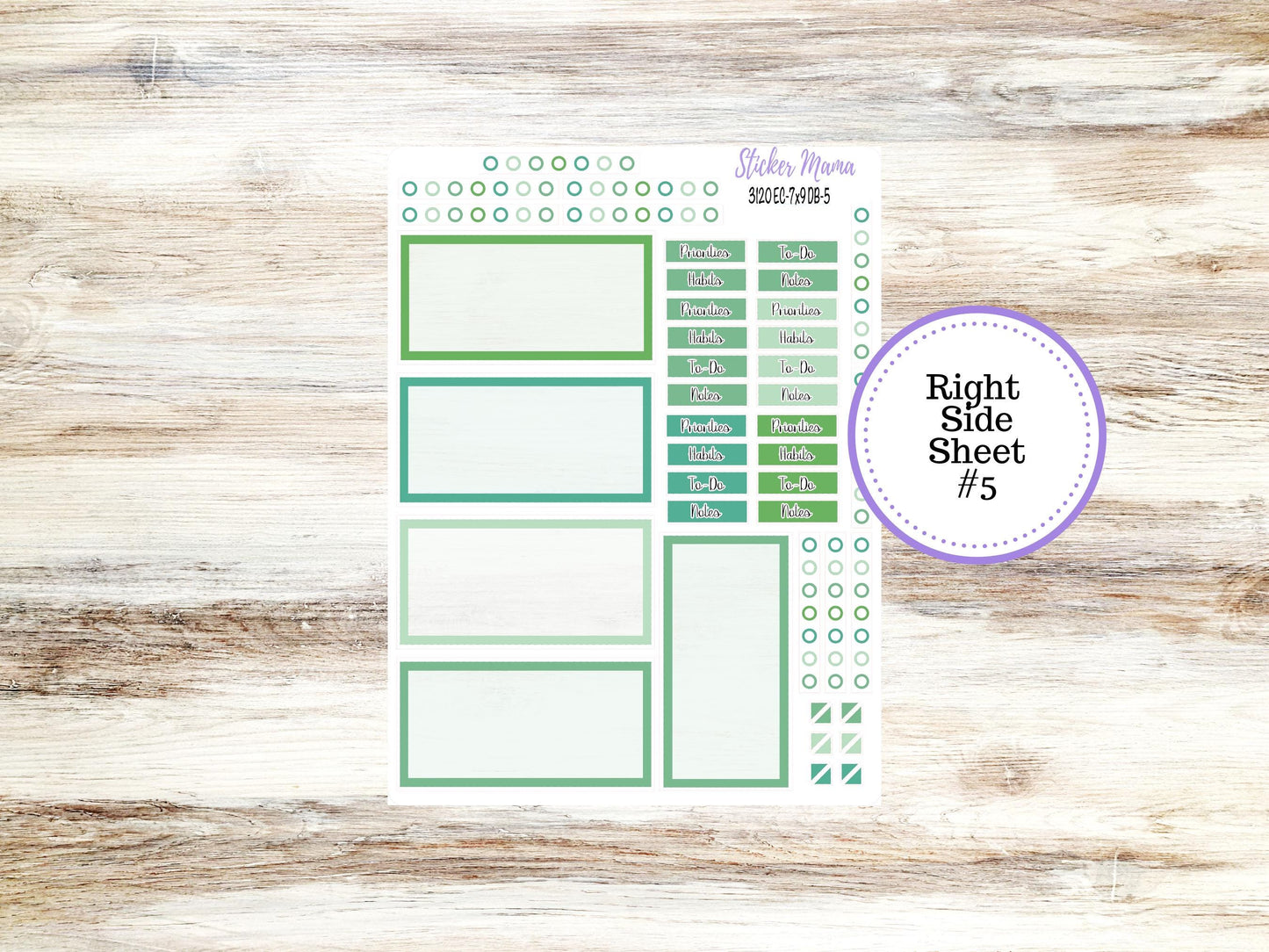 ERIN CONDREN Dashboard Planner Kit DB-3120 || March - Shamrock Magic || Dashboard Planner Sticker Kit || Erin Condren ||