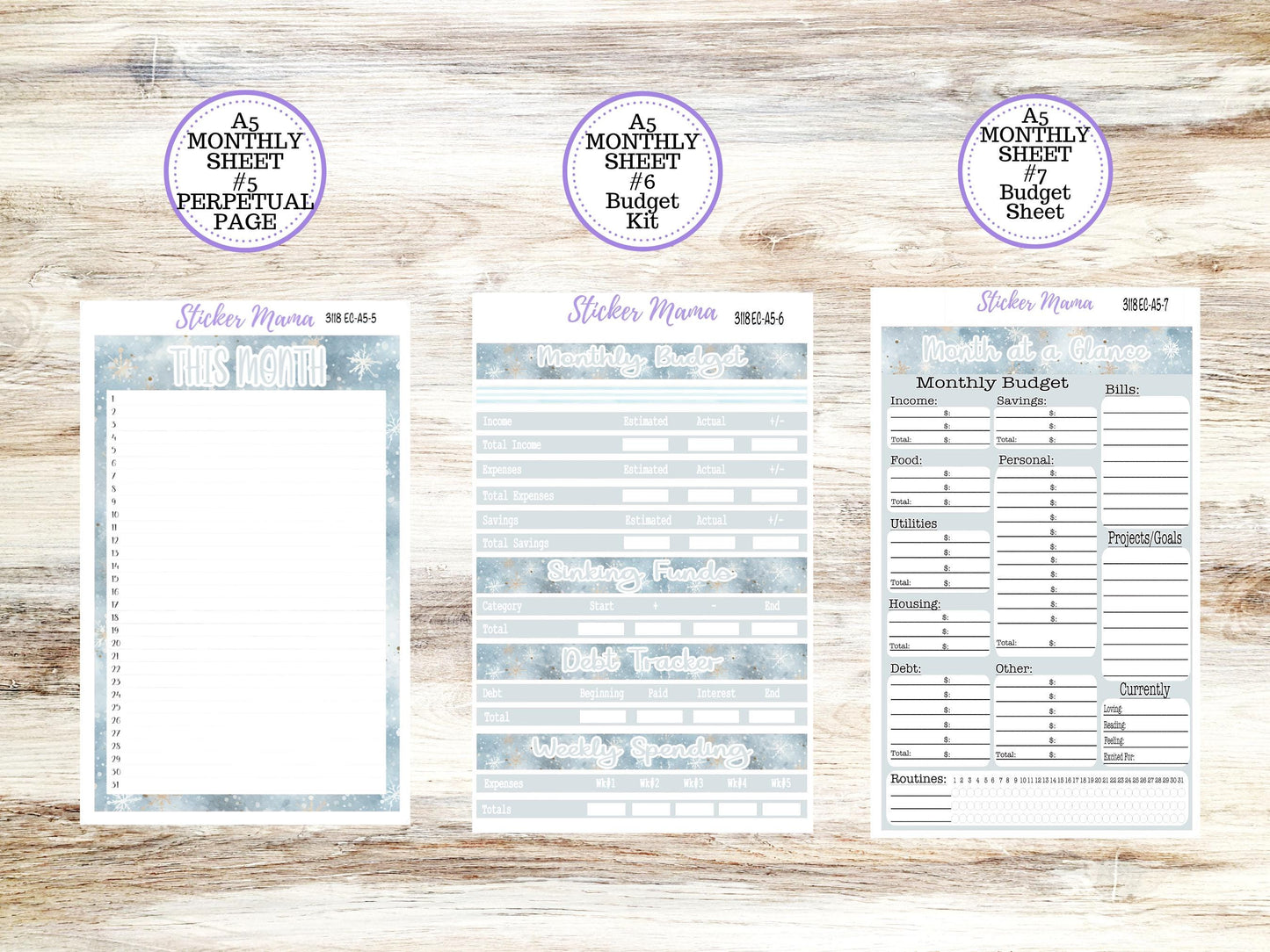 ERIN CONDRE Monthly Kit-3118 || A5 || EC A5 Stickers  || - ec January Monthly Kit - Monthly Planner Kits - Monthly Budget
