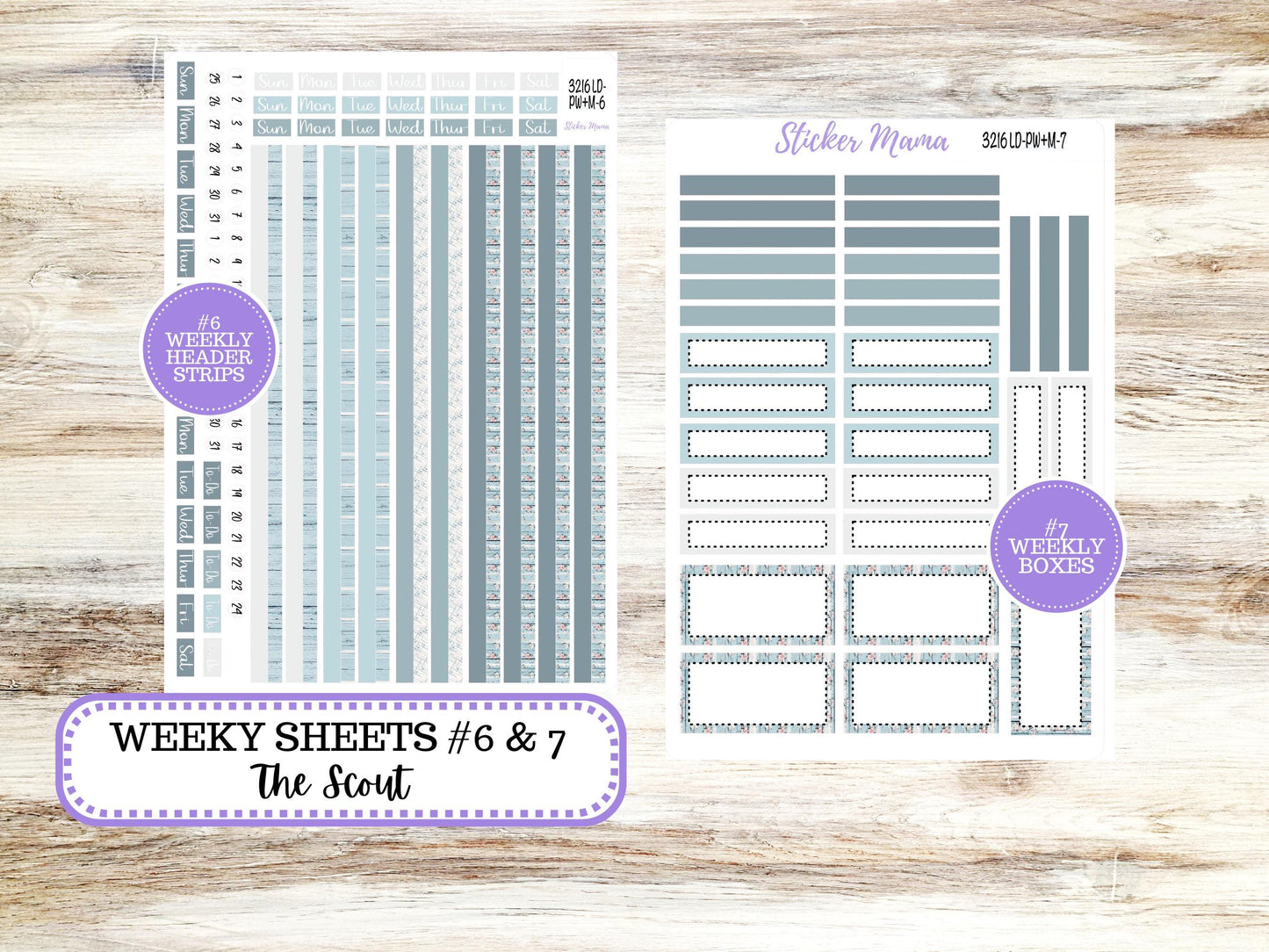 Laurel Denise Large Scout Planner Sticker Kit | Portrait Weekly + Monthly | June Chic Roses #3216 | 3-26