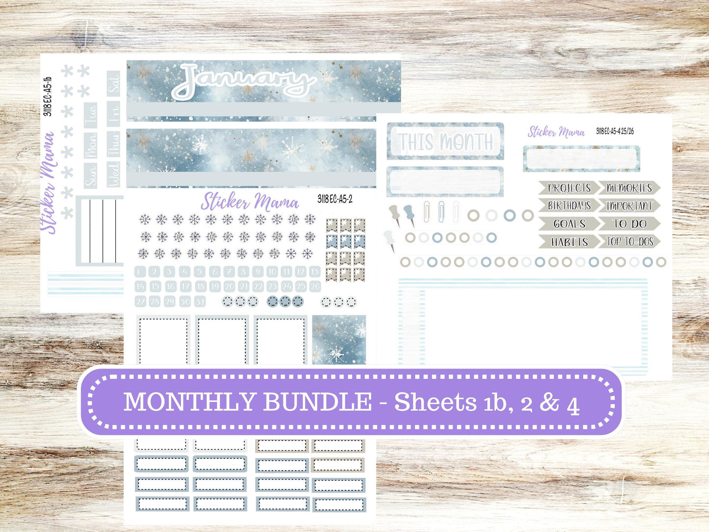 ERIN CONDRE Monthly Kit-3118 || A5 || EC A5 Stickers  || - ec January Monthly Kit - Monthly Planner Kits - Monthly Budget