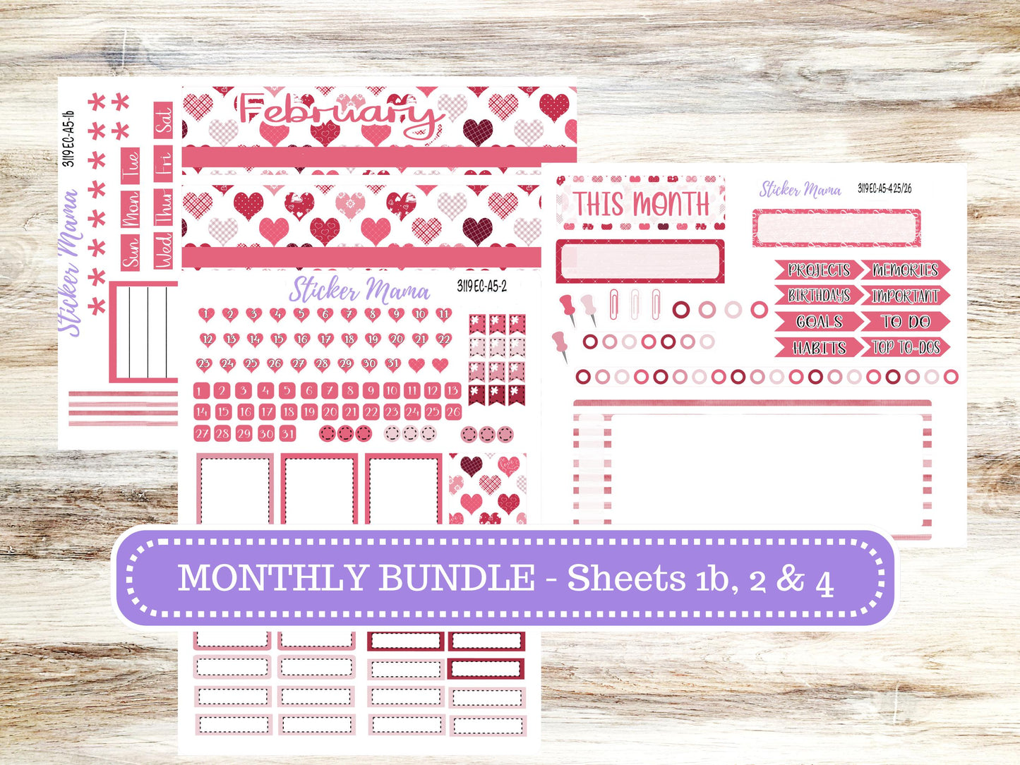ERIN CONDRE Monthly Kit-3119 || A5 || EC A5 Stickers  || - ec FebruaryMonthly Kit - Monthly Planner Kits - Monthly Budget