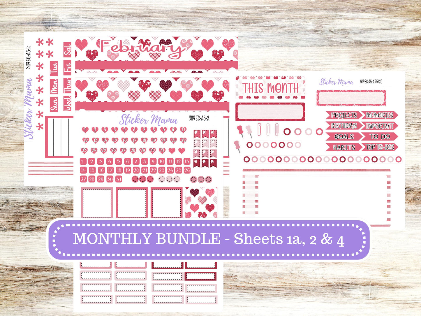 ERIN CONDRE Monthly Kit-3119 || A5 || EC A5 Stickers  || - ec FebruaryMonthly Kit - Monthly Planner Kits - Monthly Budget