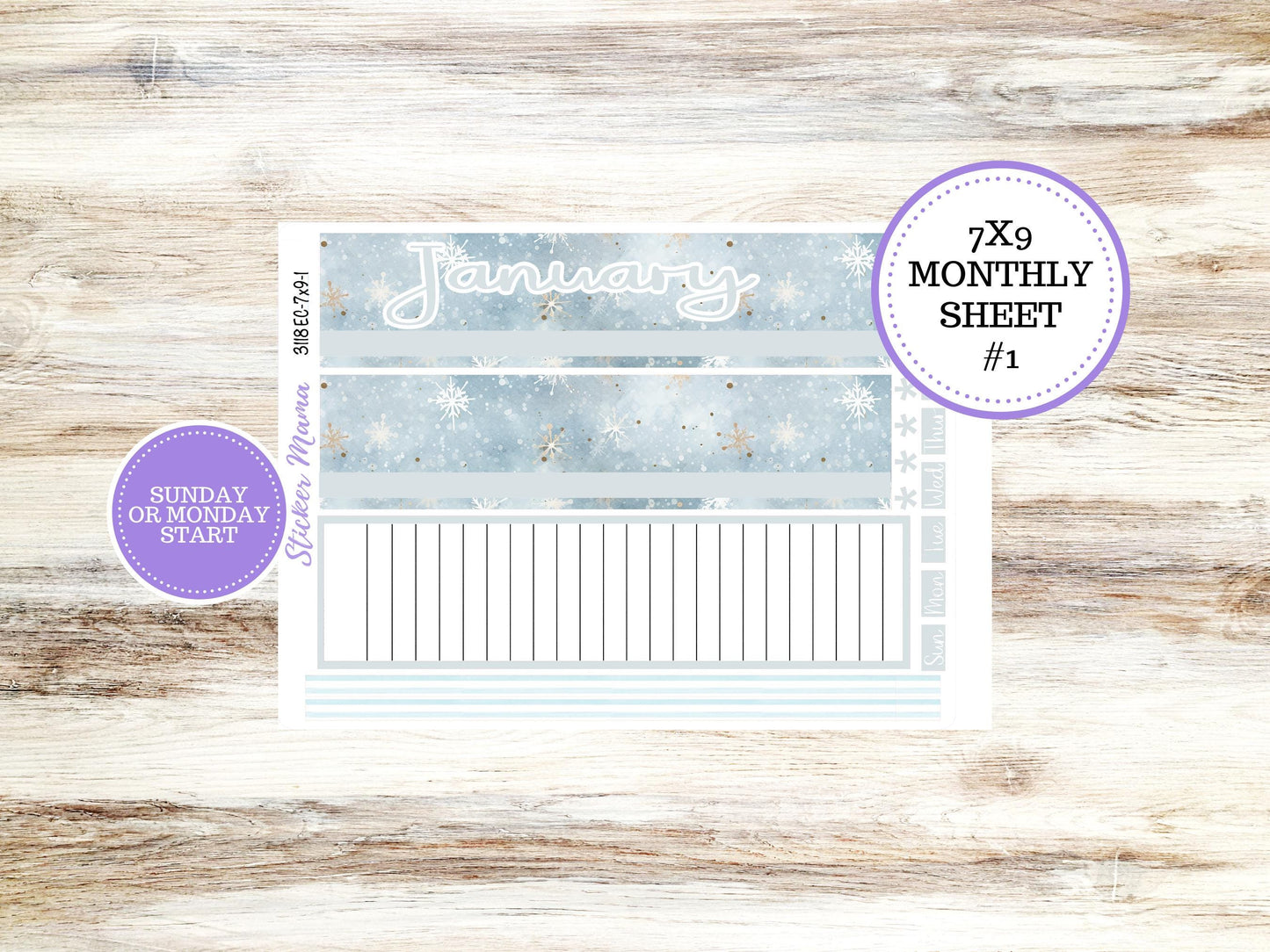 ERIN CONDREN Monthly Kit-3118 || 7X9 ||  - 7x9 ec January Monthly Kit - January Monthly Planner Kits -  Monthly Pages || 10-25