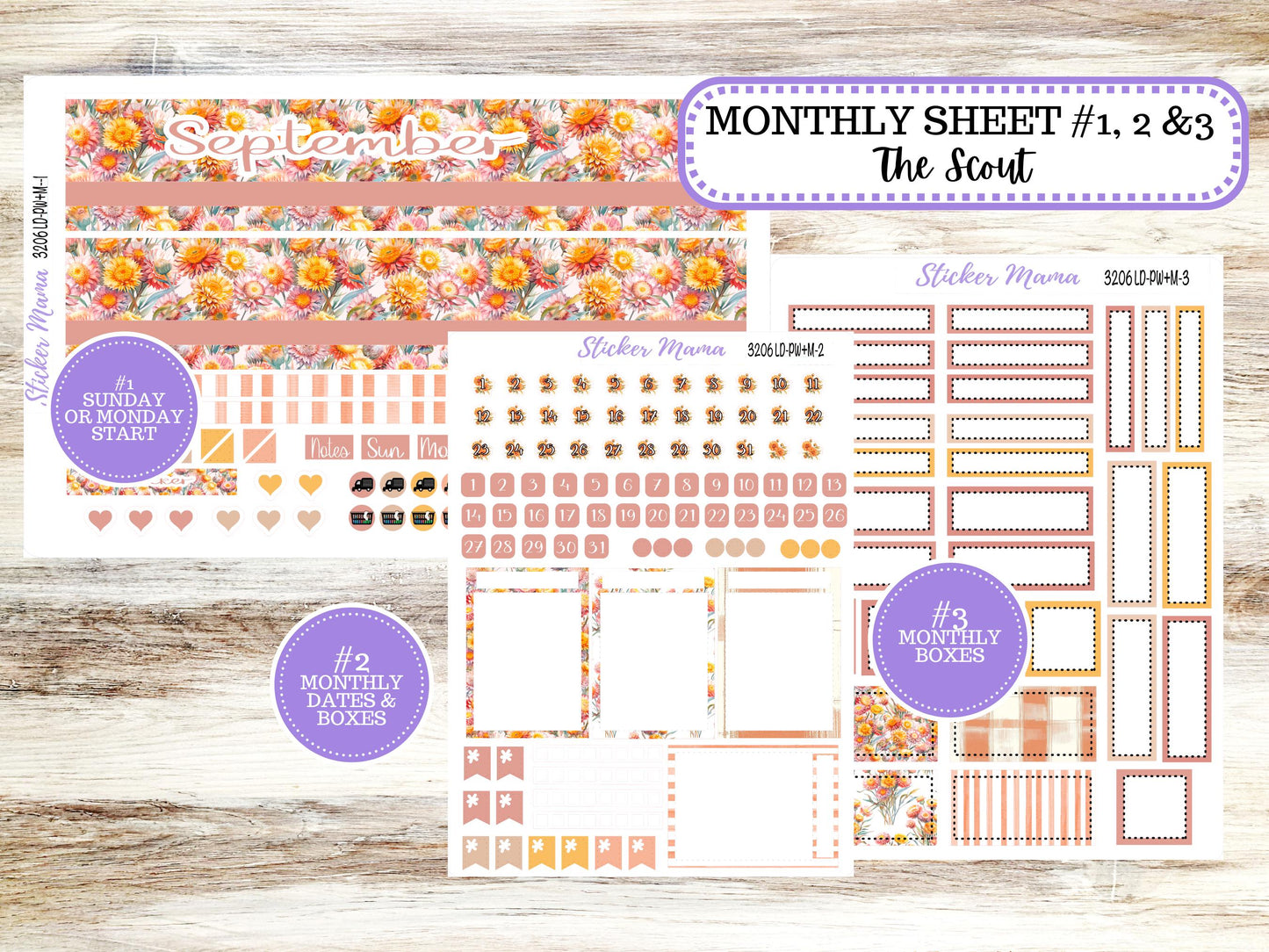 Laurel Denise Large Scout Planner Sticker Kit | Portrait Weekly + Monthly | September Falling Color 3206 | 6/26