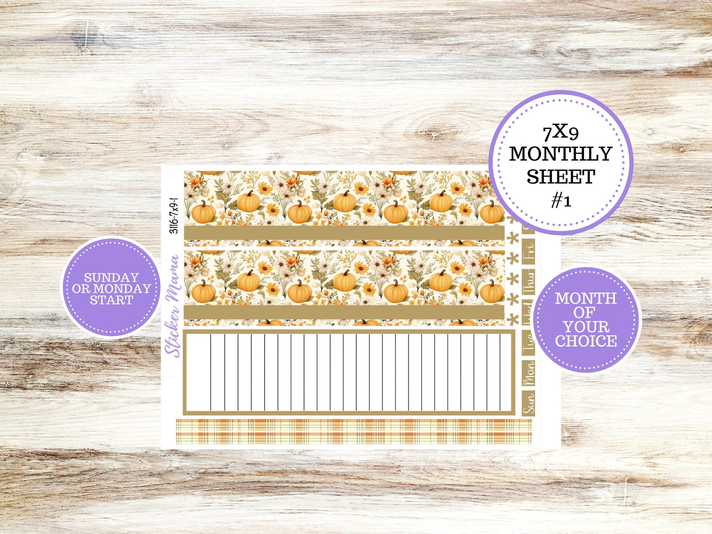 Erin Condren Monthly Kit 7X9 | 3116 Pumpkin Spice | Undated Choose Your Month | Fall