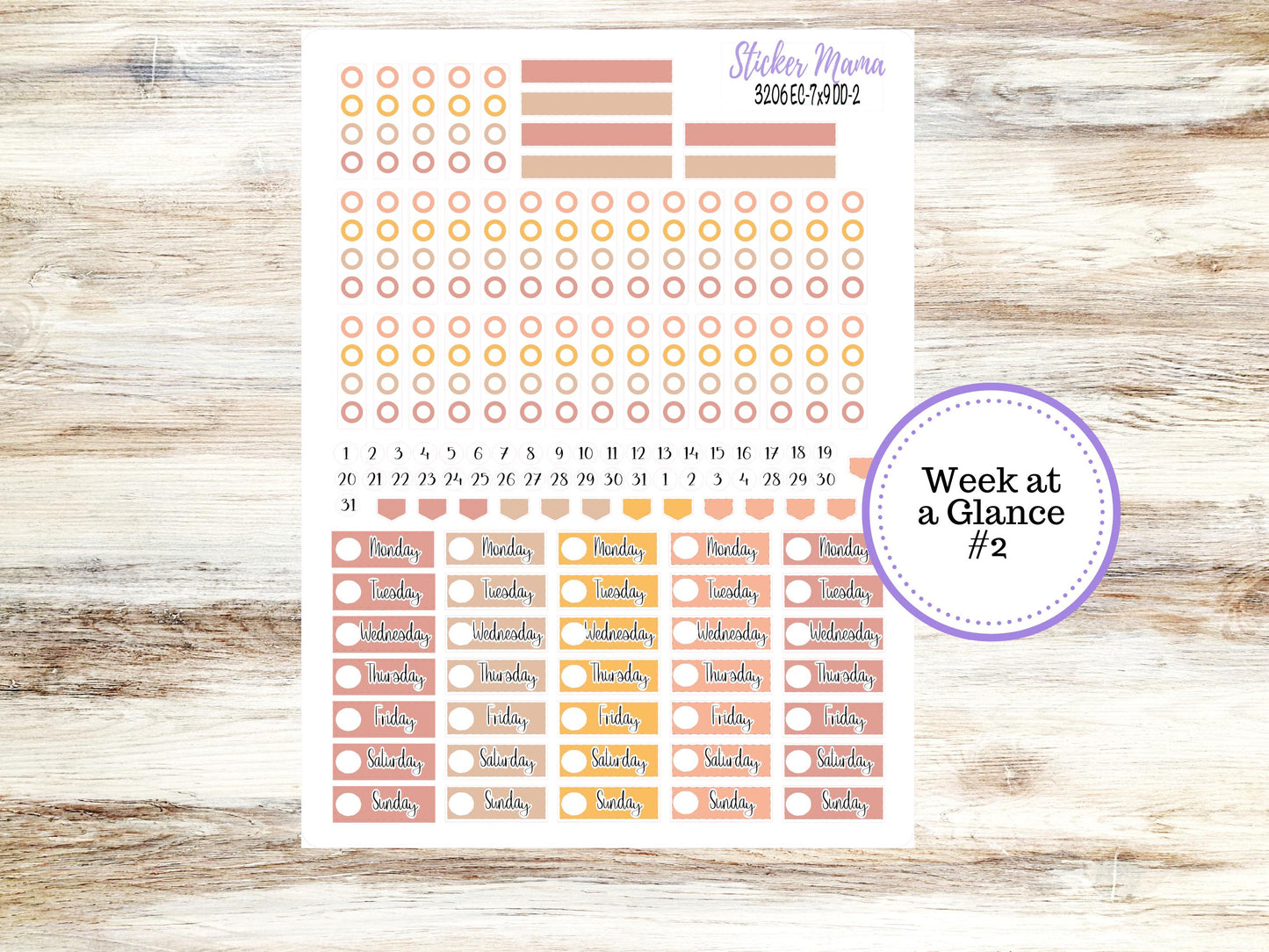 Erin Condren Daily Duo Planner Kit DD-3206 | Falling Colors  | Full Month Kit