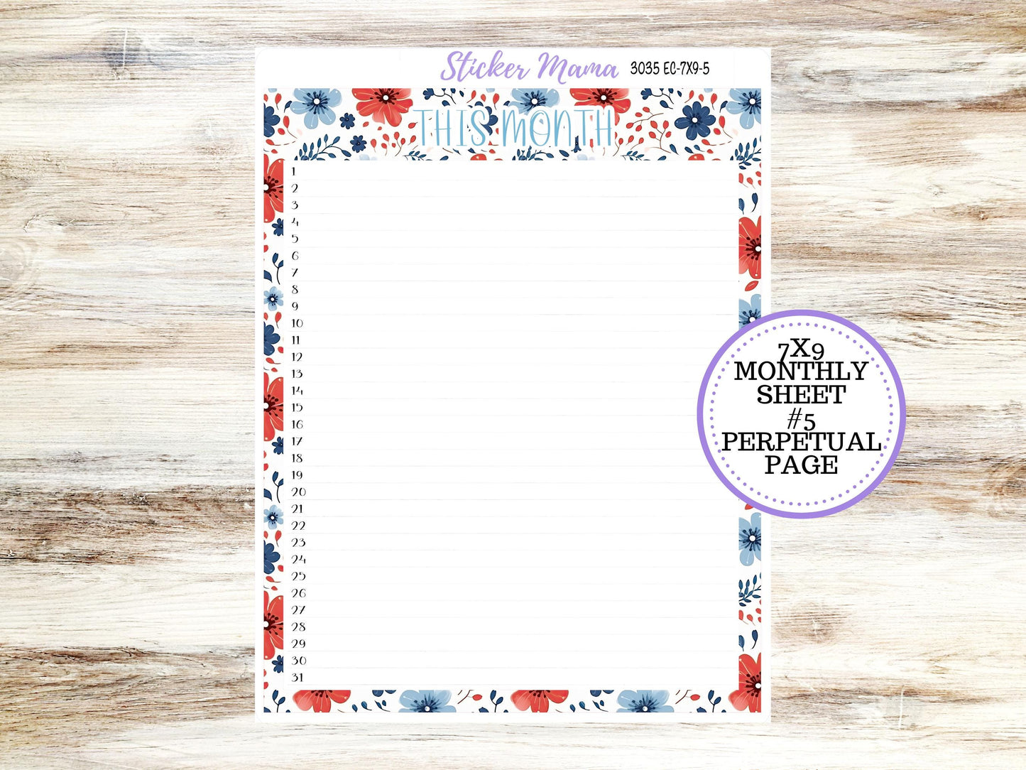 Erin Condren 7x9 Monthly Planner Sticker Kit | 3035 American Dream