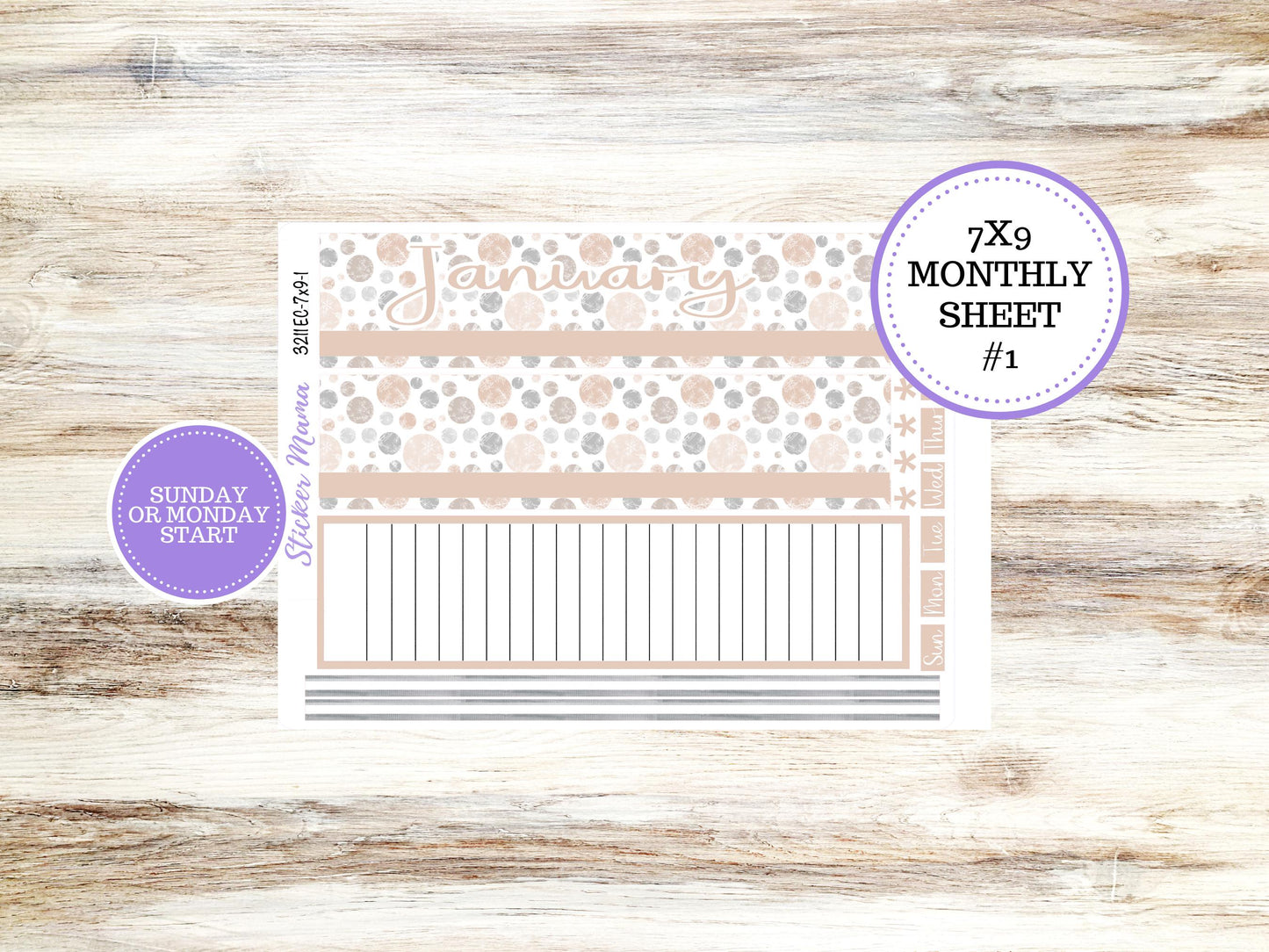 ERIN CONDREN Monthly Kit-3211 || 7X9 || Pastel Wonderlands - 7x9 ec January Monthly Kit - Monthly Planner Kits -  Monthly Pages || 10-25