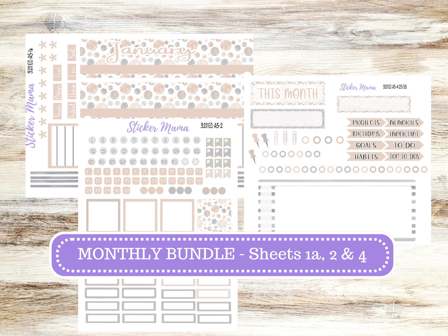 ERIN CONDRE Monthly Kit-3211 || A5 || Patel Wonderland Stickers  || - ec January Monthly Kit - Monthly Planner Kits - Monthly Budget