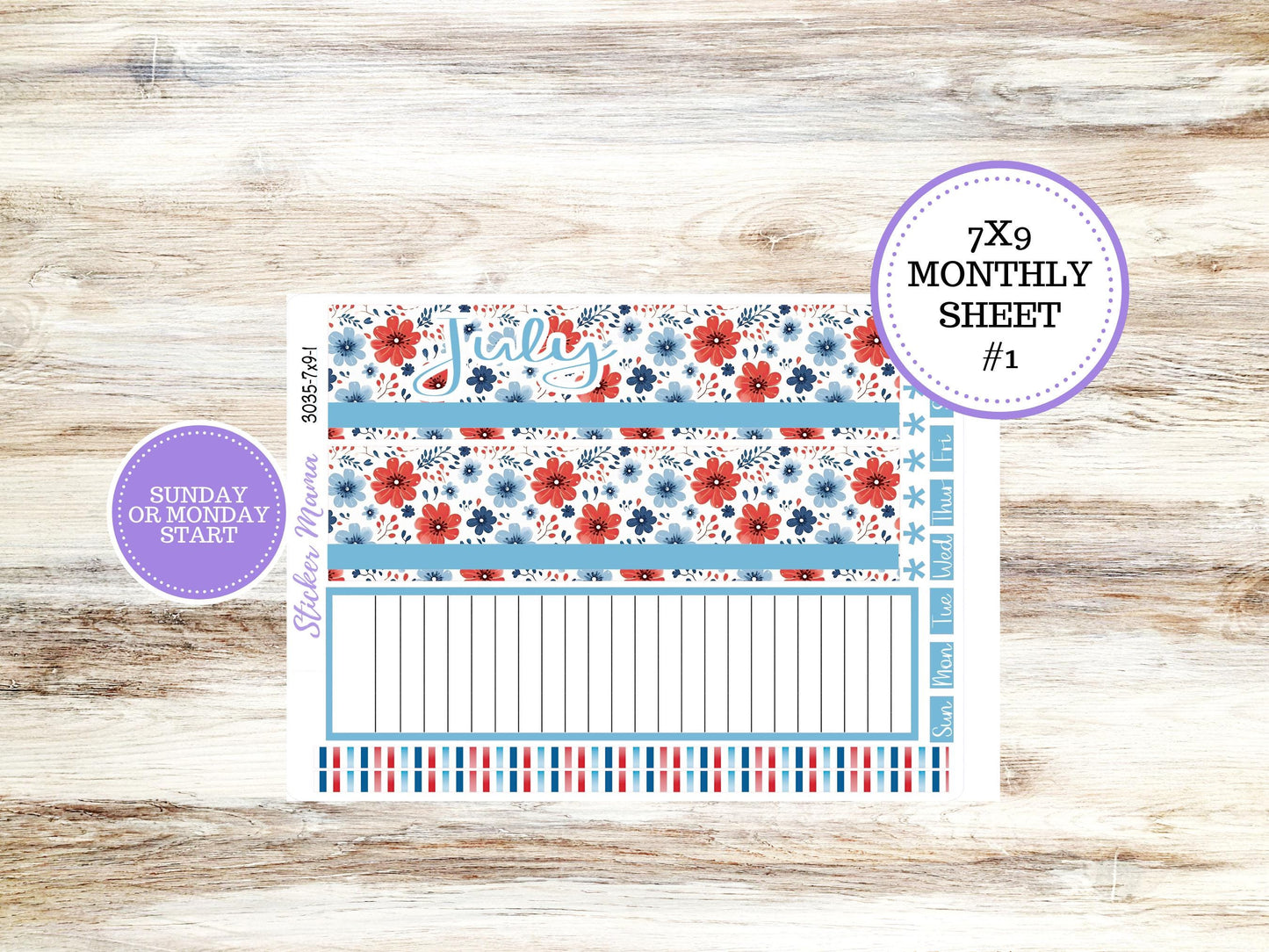Erin Condren 7x9 Monthly Planner Sticker Kit | 3035 American Dream