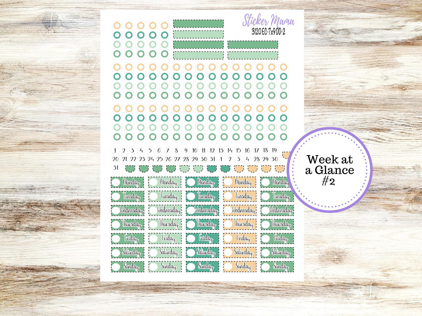 ERIN CONDREN Daily Duo Planner Kit DD-3120 || March - Shamrock Magic || Daily Duo Planner Sticker Kit || Erin Condren ||