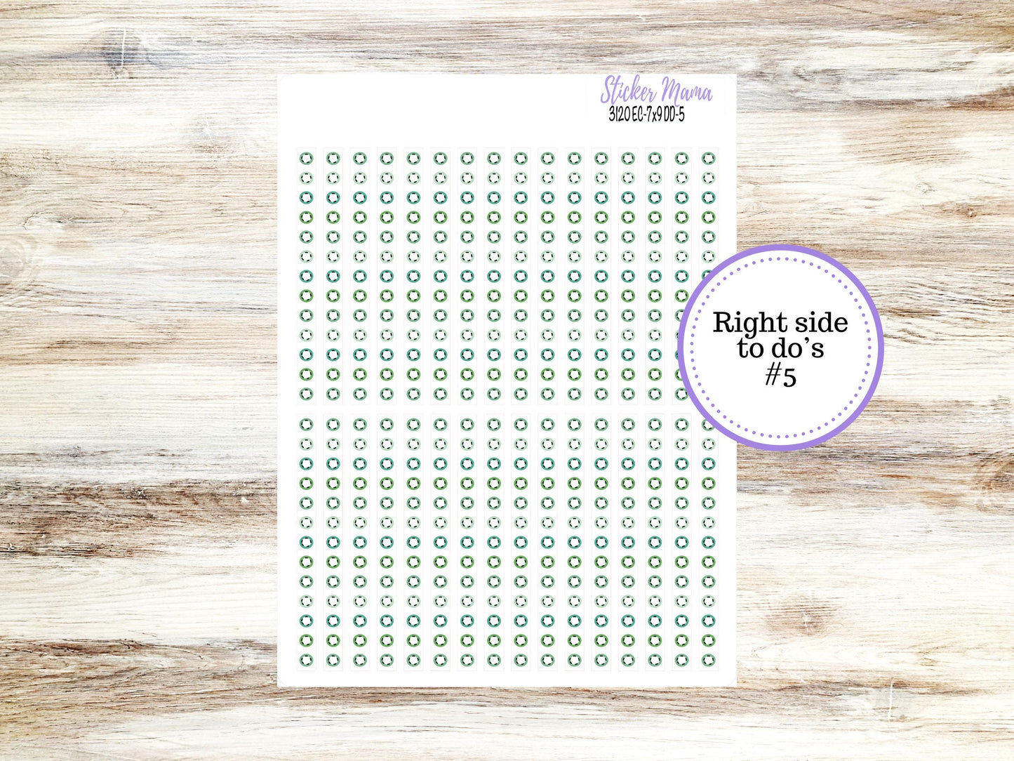 ERIN CONDREN Daily Duo Planner Kit DD-3120 || March - Shamrock Magic || Daily Duo Planner Sticker Kit || Erin Condren ||