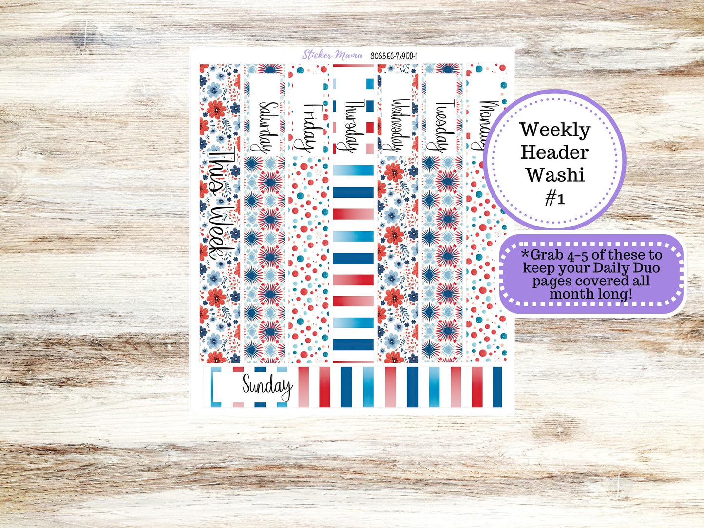Erin Condren Daily Duo Planner Sticker Kit | 3035 American Dream